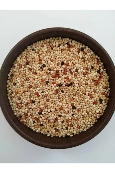 Vivid Bird Muhabbet Kuşu Yemi 1 Kg.