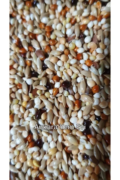 Ankara Yem Evi Muhabbet Kuşu Yemi 2 Kg %40 Aspurlu