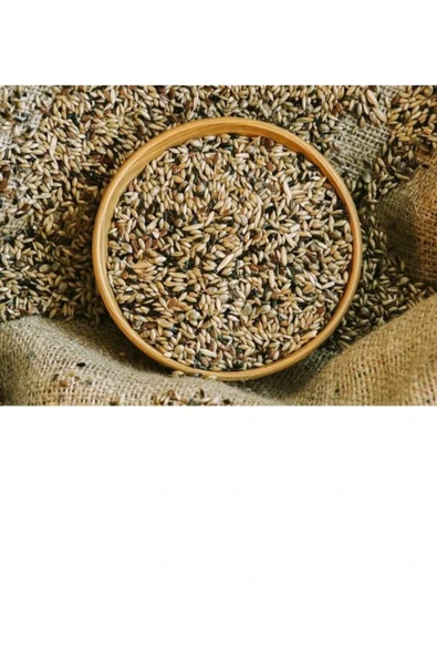 Soylupetshop Karışık Kanarya Yemi 1 Kg