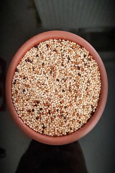 Ankara Yem Evi Karışık Muhabbet Kuşu Yemi 5 Kg