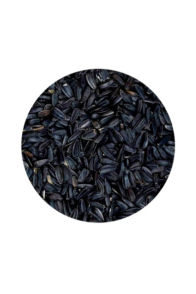 Petdoys Tüm Papağan Türleri Için Organik Mikro Çekirdek - 250 Gram - 2