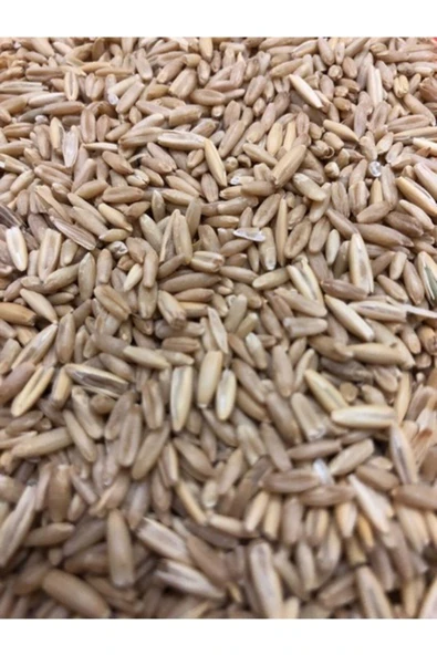 Tasarımkuşevi Vivid Kafes Kuşu Soyulmuş Iç Yulaf Yemi 1kg