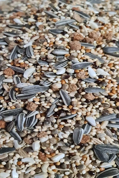 Ankara Yem Evi Cennet Ve Sevda Papağanı Yemi 1 Kg