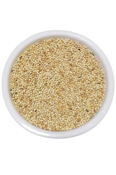 PoyrazPet Vivid Ak Darı, 2 Kg