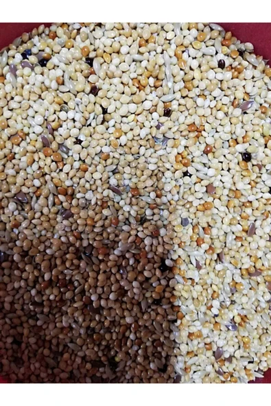 Vivid Bird Vivid Karışık Muhabbet Kuşu Yemi 1 Kg
