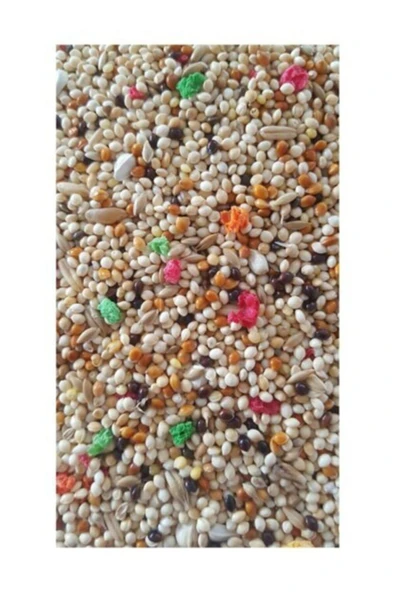 Eslem Tohumculuk Tohumculuk Özel Tohumlu Muhabbet Kuşu Yemi 5 Kg - 2