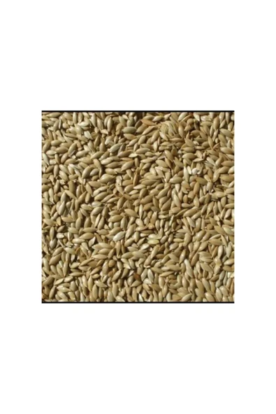 katzoo Kanarya Yemi Sade ( 2kg Açık )