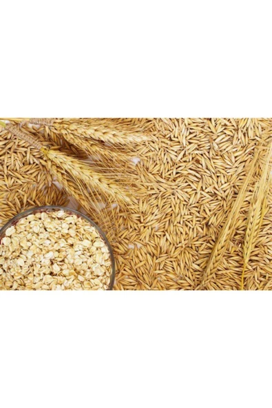 Vivid Kuşlar Için Soyulmuş Yulaf 500 Gr