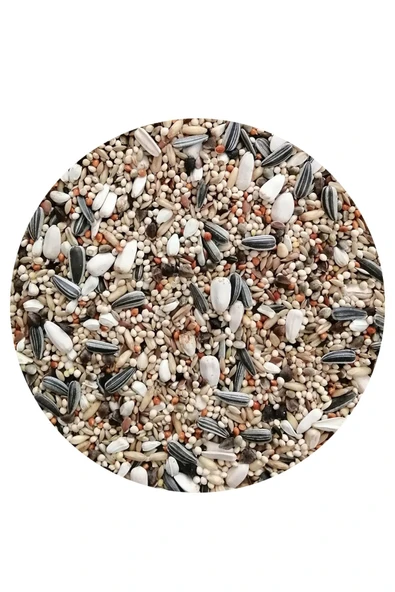 Petdoys Papağan Yemi Ultra Lüx Karışık - 1 Kg