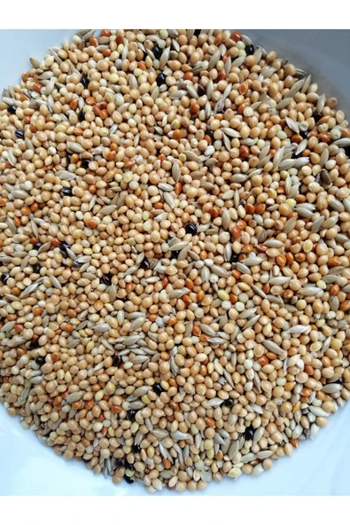 Mavi Pet Shop Muhabbet Kuşu Yemi Açık 1 Kg