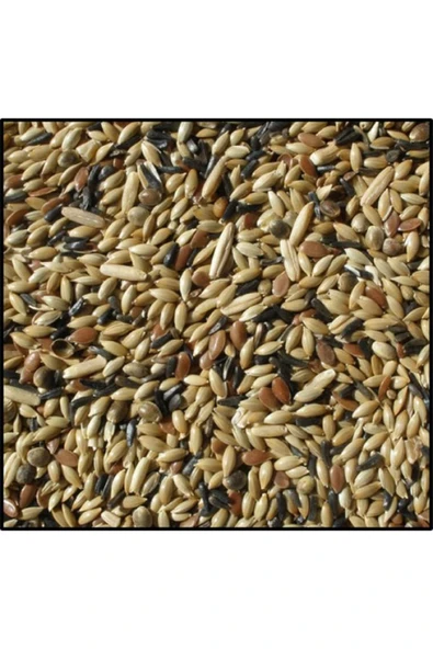 katzoo Kanarya Yemi Karışık (3kg Açık)