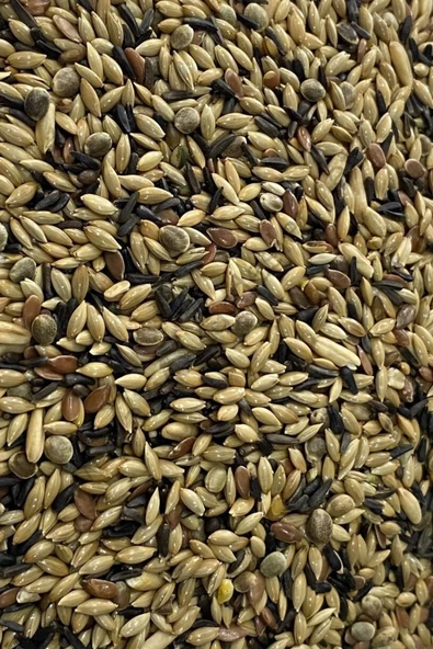Petdoys Karışık Kanarya Yemi - 250 Gram