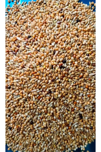 Ankara Yem Evi Taze Karışık Muhabbet Kuşu Yemi 1 Kg