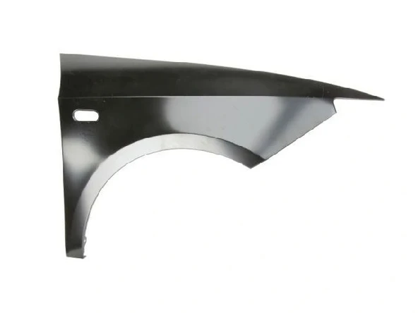 6J0821022A Çamurluk Ön Sağ Ibıza 2009-2017