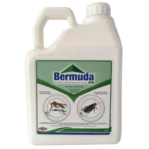 Bermuda EW