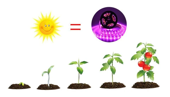 Tam Spektrum Bitki Büyütme Şerit Işık 5V USB Uç 1 mt Dış Mekan - 10