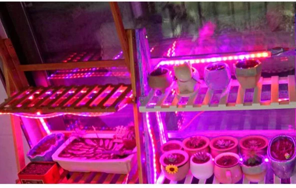 Tam Spektrum Bitki Büyütme Şerit Işık 5V USB Uç 1 mt Dış Mekan - 5