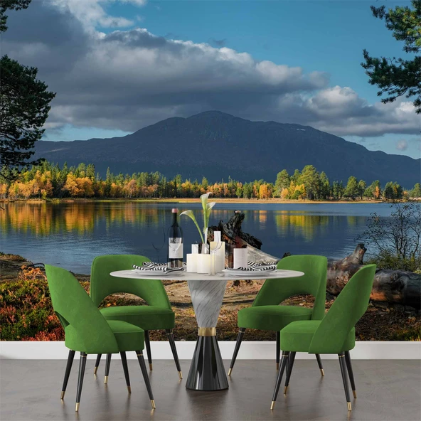 Göl ve Orman Manzara Duvar Kağıdı - Resim 5