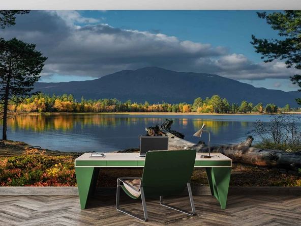 Göl ve Orman Manzara Duvar Kağıdı - Resim 4