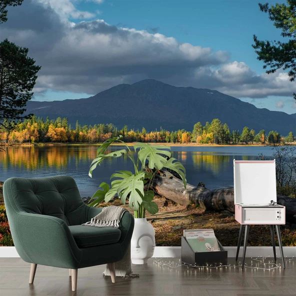 Göl ve Orman Manzara Duvar Kağıdı - Resim 6