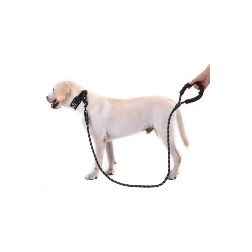 Reflektörlü Köpek Tasması 130 Cm. - 2