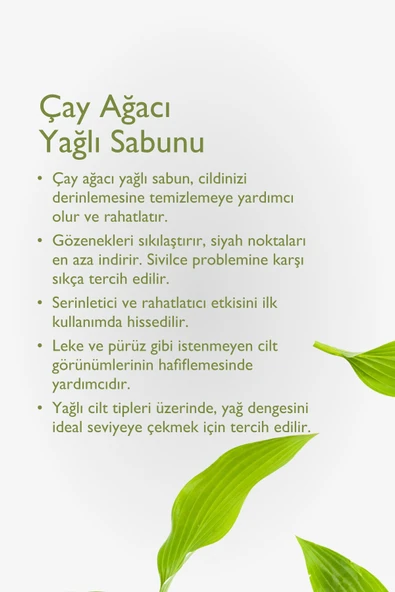 Çay Ağacı Yağlı Sabun 125gr - 2