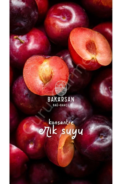 Bakarsan Bağ Bahçe Bakarsan Bağ - Bahçe Konsantre Erik Suyu - Resim 2