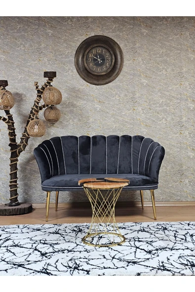 İkili Gold Kaplama Sivriltme Ayak Füme Döşeme Papatya Çay Seti Koltuk Takımı , Balkon, Salon, Ofis, Cafe Koltuk Takımı