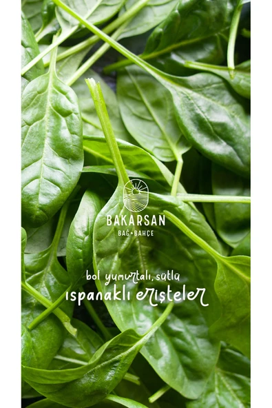 Bakarsan Bağ Bahçe Ev Yapımı Ispanaklı Erişte 500 gr - Resim 3