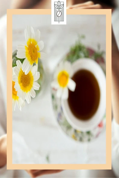 Mel and Mira  Premium Chamomile Black Tea 50g, Papatyalı Siyah Çay - 3
