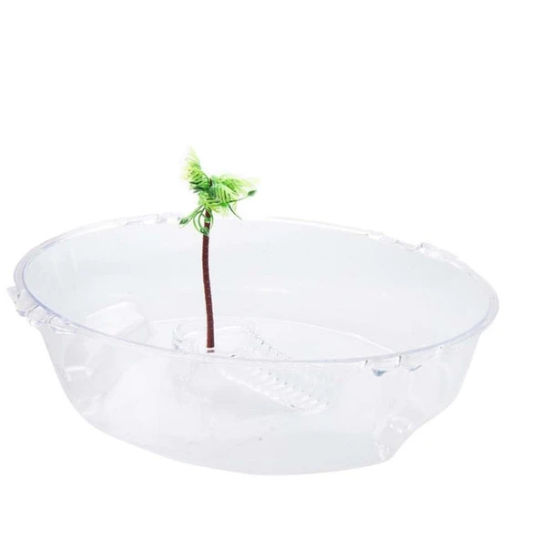 Kaplumbağa Bahçesi - 5