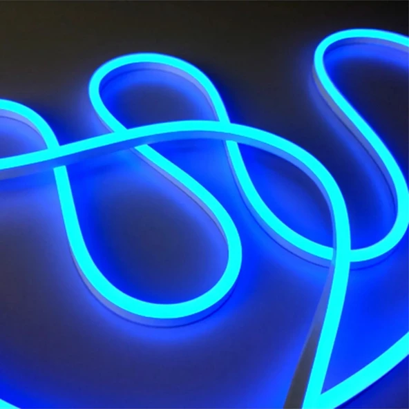 Neon LED şerit 5metre (Mavi) LED zincir bandı hortum esnek dekoratif aydınlatma ışık 12V 10W (1. Gen.) - 5