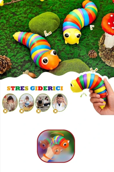 Küçük Renkli Hareketli Tırtıl - Resim 2