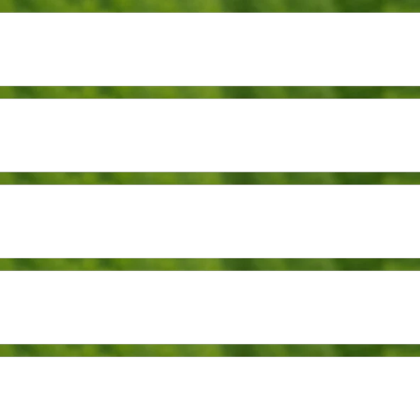 Dere Otu Tohumu 50g ürün görseli