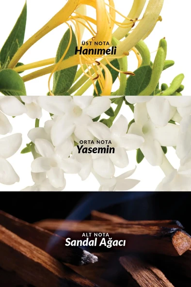 AVON Little Black Dress Kadın Parfüm EDP 50ml - Resim 2