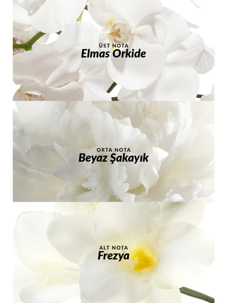 AVON Incandessence Kadın Parfüm EDP 50ml + Rollon - Resim 2