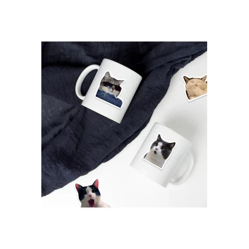 Çılgın Kediler Macbook Notebook Tablet Telefon Ajanda Laptop Defter Sticker Seti - 3