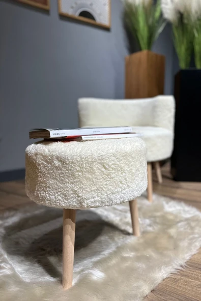 DEKOR MOBİLYACIM Berlin Çay Seti Berjer Ve Puf Takımı (SALON, OFİS, BALKON) - 2'li Takım - 4