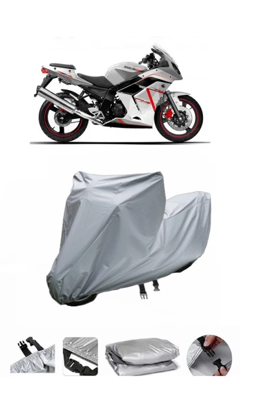 Daelim Roadwin 250  Gri Motosiklet Brandası ARKA ÇANTA UYUMLU DEĞİLDİR ürün görseli 1