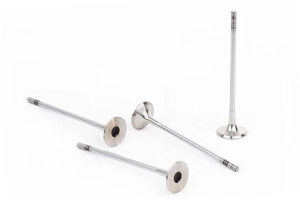 Opel Astra G 1.4 / 1.6 Benzinli LPG Uyumlu Subap Takımı Supsan Marka