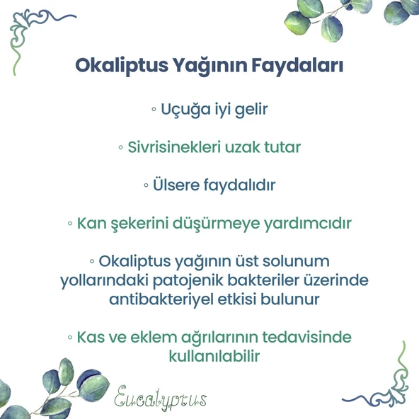 NPO Yogaroma Ferahlatıcı Aromaterapi 10mL Saf ve Doğal Okaliptus Uçucu Yağ 8 Adet - 6