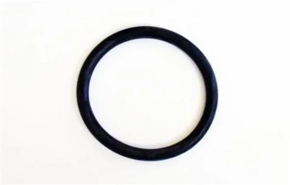 Opel Astra G 1.4 /1.6 Yağ Kapağı Oringi