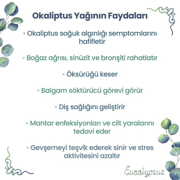 NPO Yogaroma Ferahlatıcı Aromaterapi 10mL Saf ve Doğal Okaliptus Uçucu Yağ 8 Adet - 3