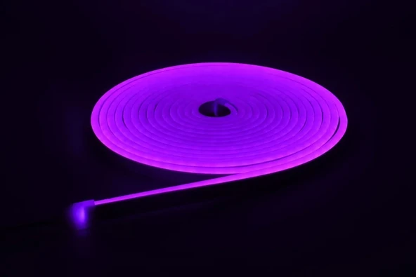 Neon LED şerit 5metre Mor LED zincir bandı hortum esnek dekoratif aydınlatma ışık 12V 10W