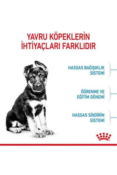 Royal Canin Puppy Maxi Büyük Irk Yavru Köpek Maması 15 KG - 7