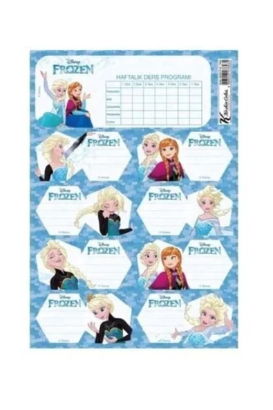 Gıpta Frozen Ders Prog.okul Etiketi 20 Li