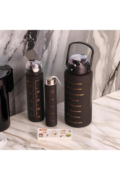 suluk plastik 3’lü Motivasyonel Su Matarası, 2 Litre 750 Ml 300 Ml BPA İçermez Suluk (Pipetli ve Sticker Hediyeli) - 2
