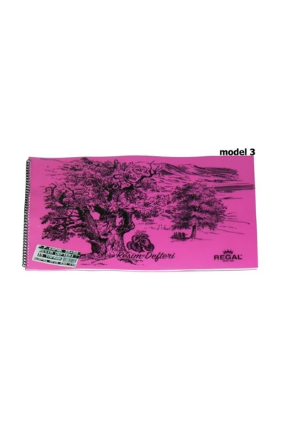 Gürpaş Spiralli Resim Defteri Plastik Kapak 35x50 25 Yp 100 gram Çizim Kağıdı Muhtelif Renkler