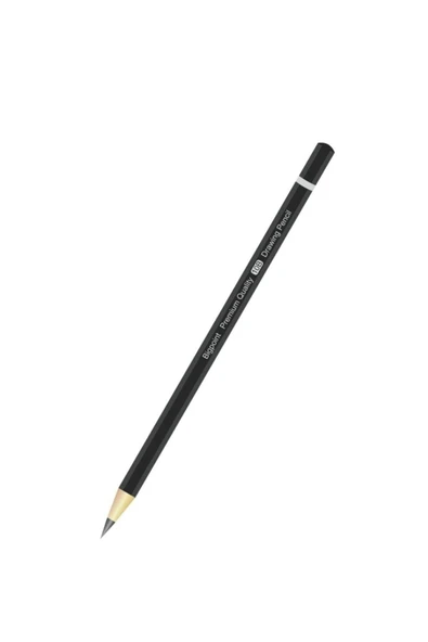 Bigpoint Derecelı Kalem 10b (1 ADET)