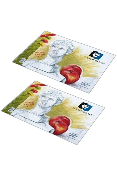 Alex Schoeller Alex Resim Defteri 50x70 Spr. 120 Gr 20 Yp 2'li
